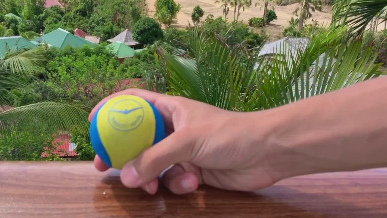 The Ultimate Skip Ball - Water Bouncing Ball (Lot de 2 + Disque